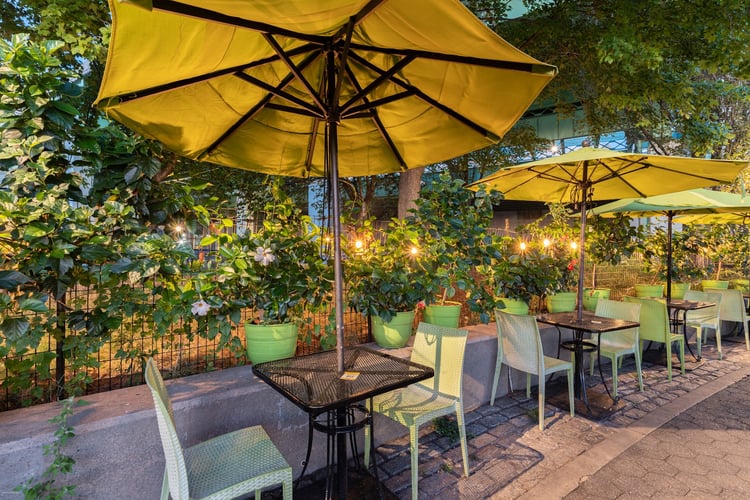 Pier i Cafe — New York