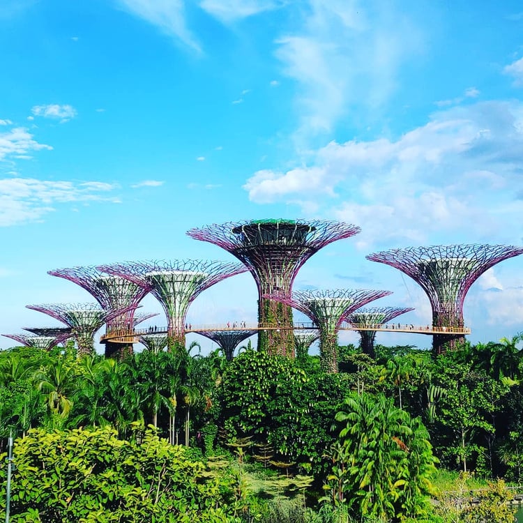 Gardens by the Bay — Singapore