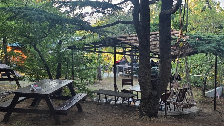 Picnic Area/Valeri's cafe — Tbilisi