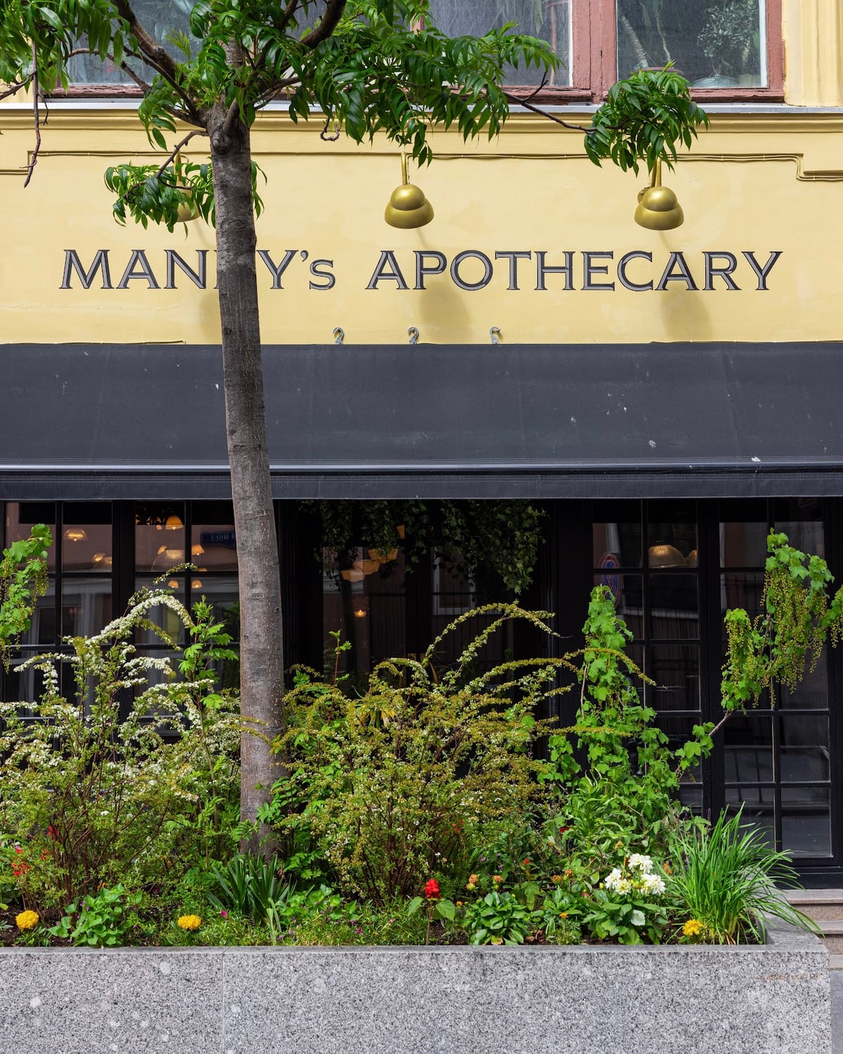 Mandy's Apothecary