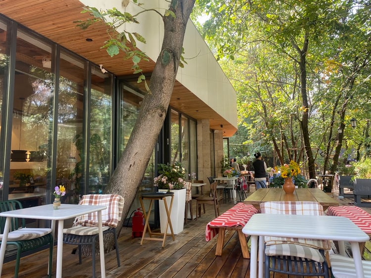 Zoya bistro almaty — Almaty