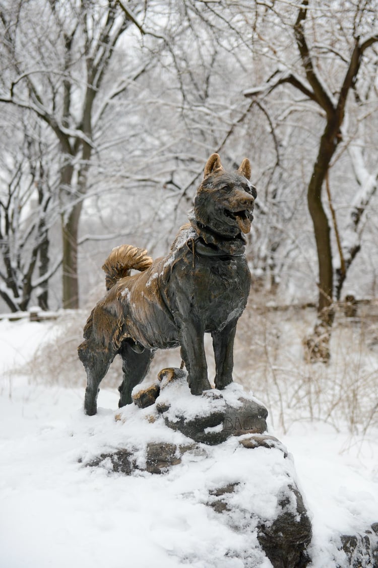 Balto Statue — New York