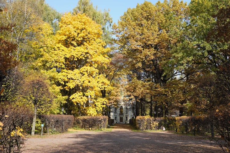 Kuskovo Estate Museum — Moscow