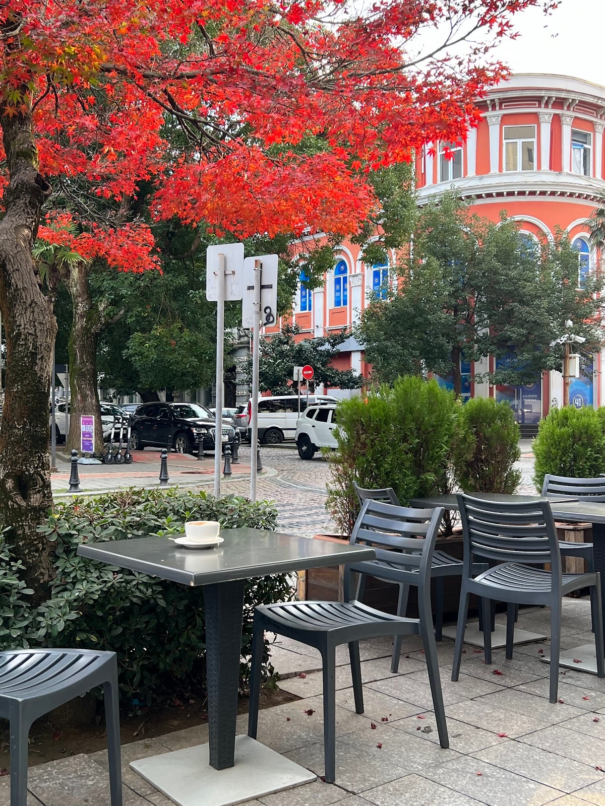 Oriental Bistro: Fine Casual Dining