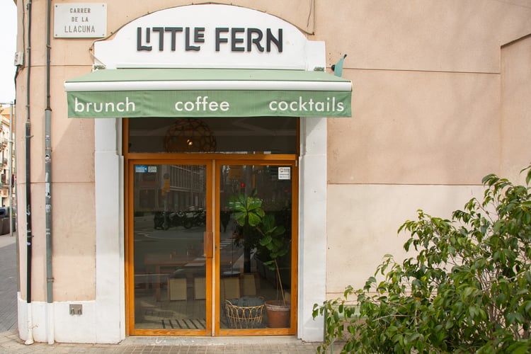 LITTLE FERN — Barcelona