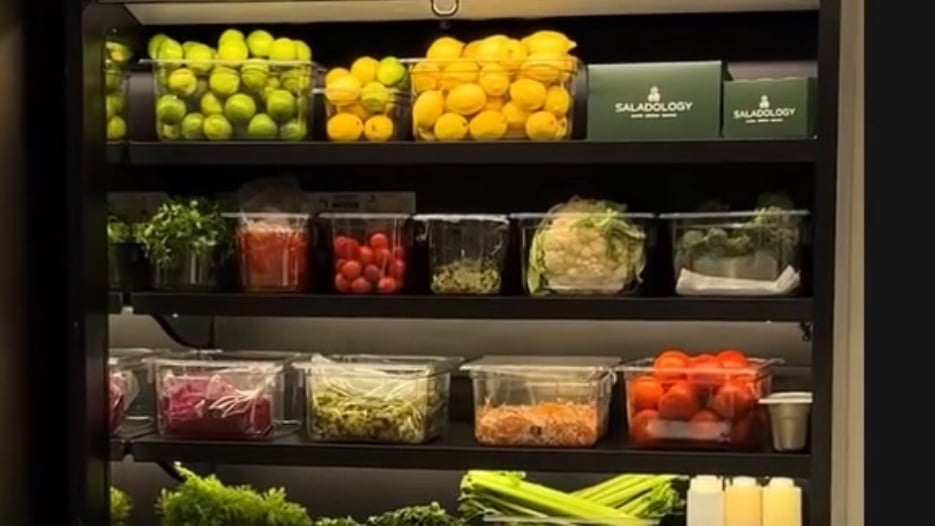 Saladology
