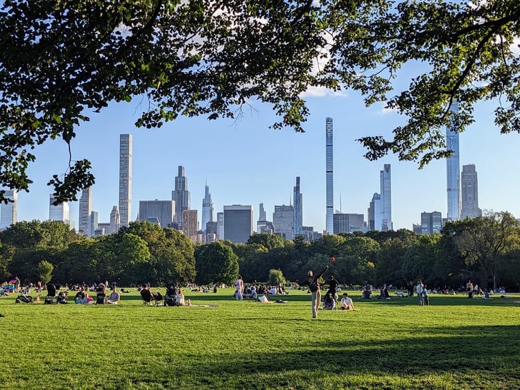 The Great Lawn — New York