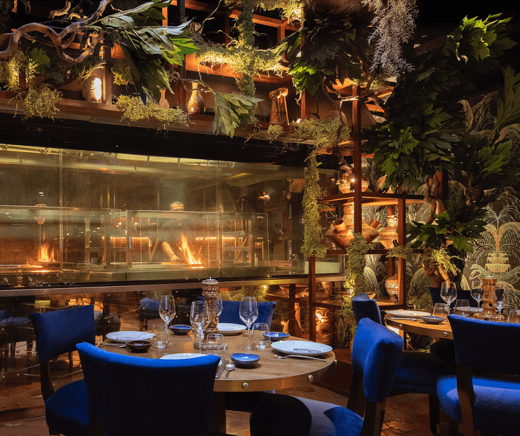 COYA Mayfair — London