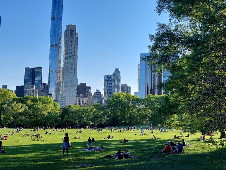 Sheep Meadow — New York