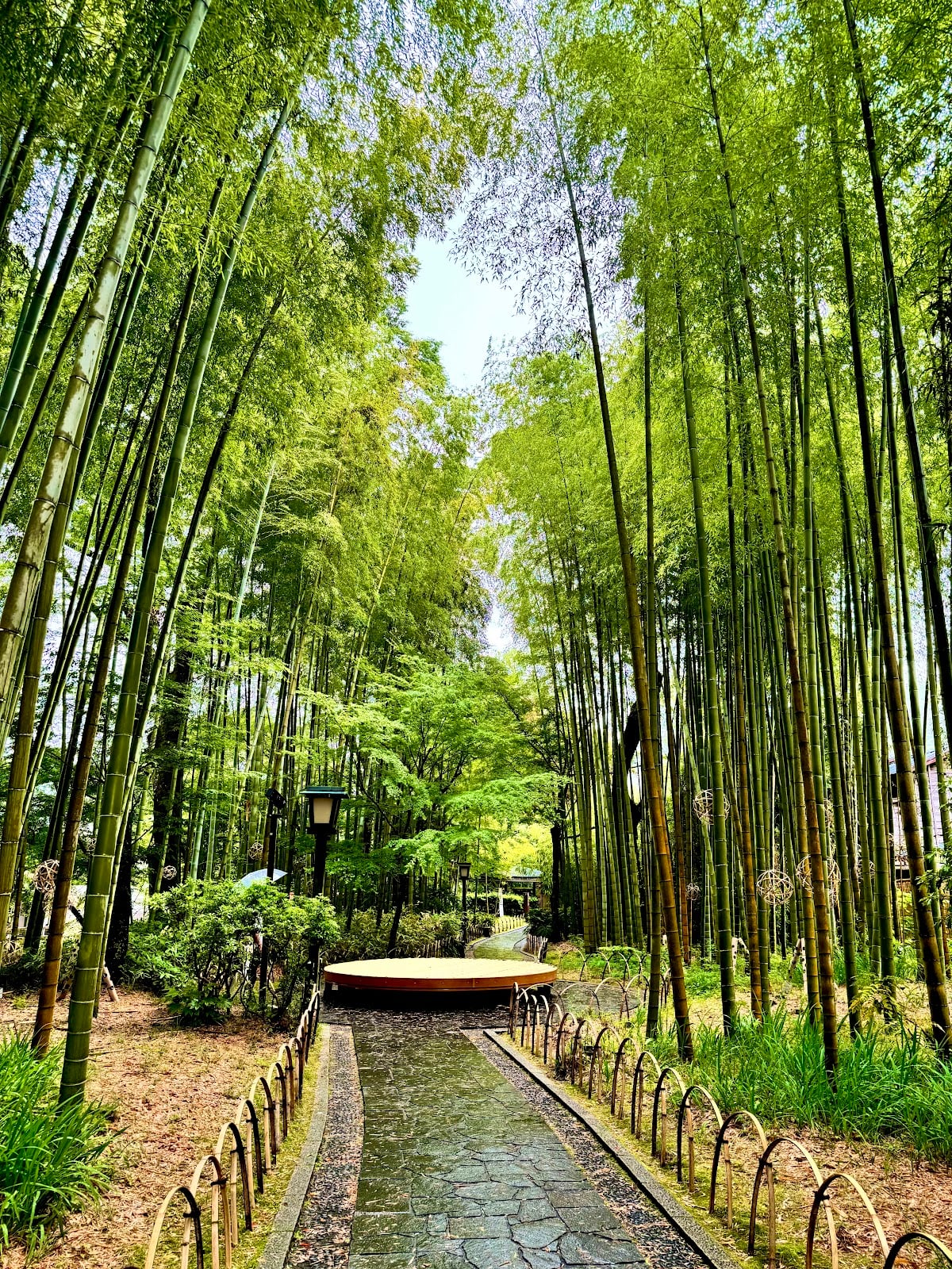 Bamboo Forest Path
