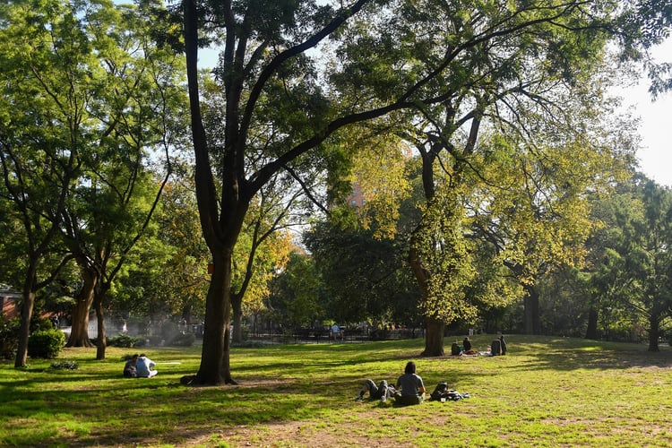Tompkins Square Park — New York