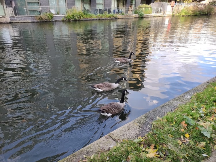 Little Venice — London