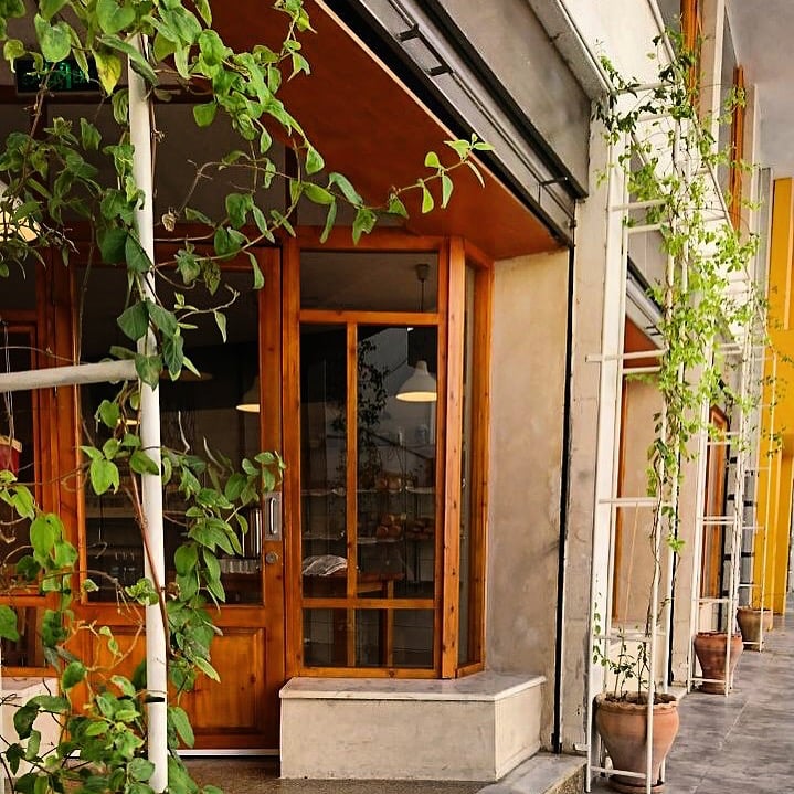 Foron Rex — Amman