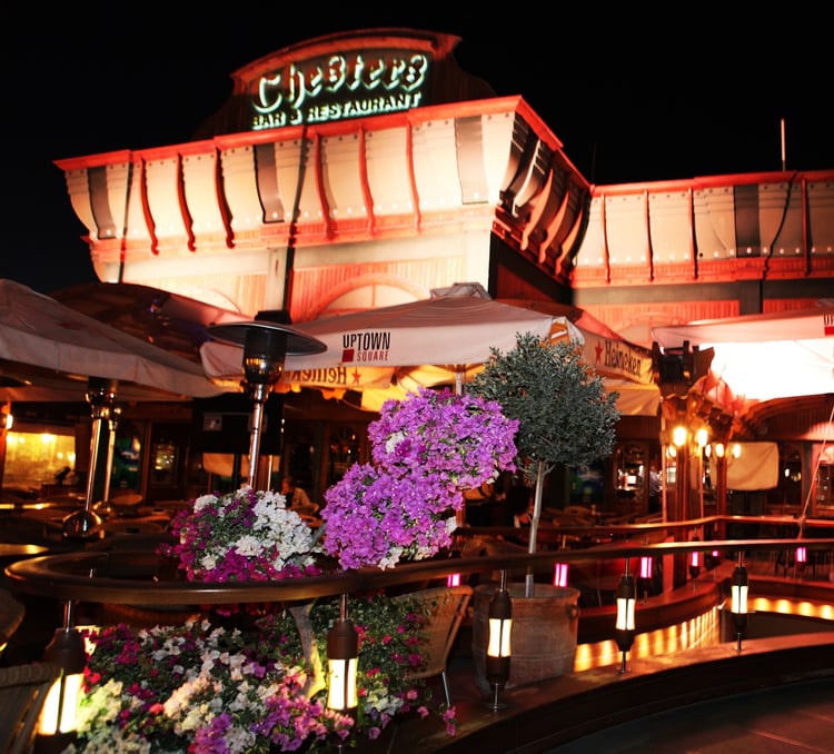 Chesters Bar & Restaurant — Pareklisia