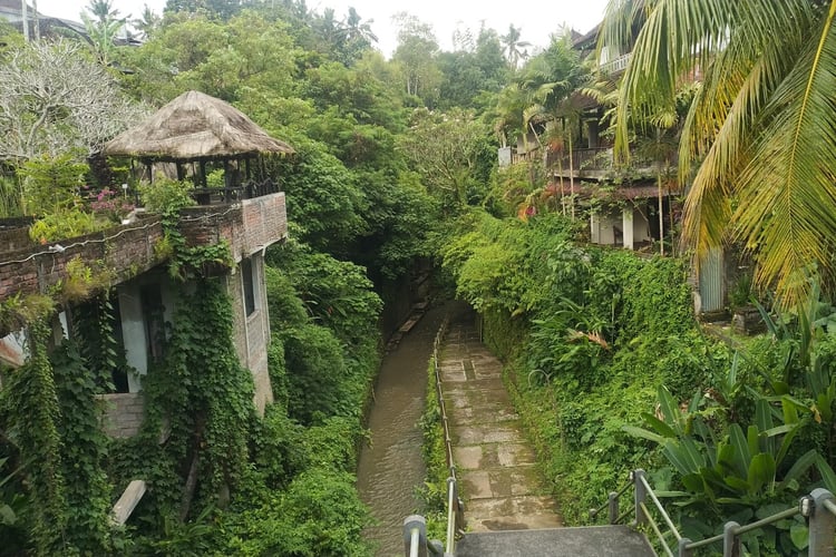Bali — Bali