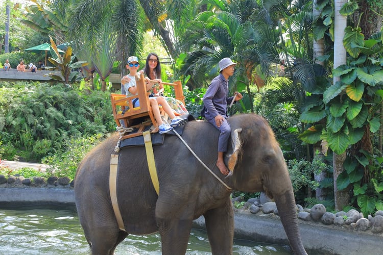 Bali Zoo — Bali