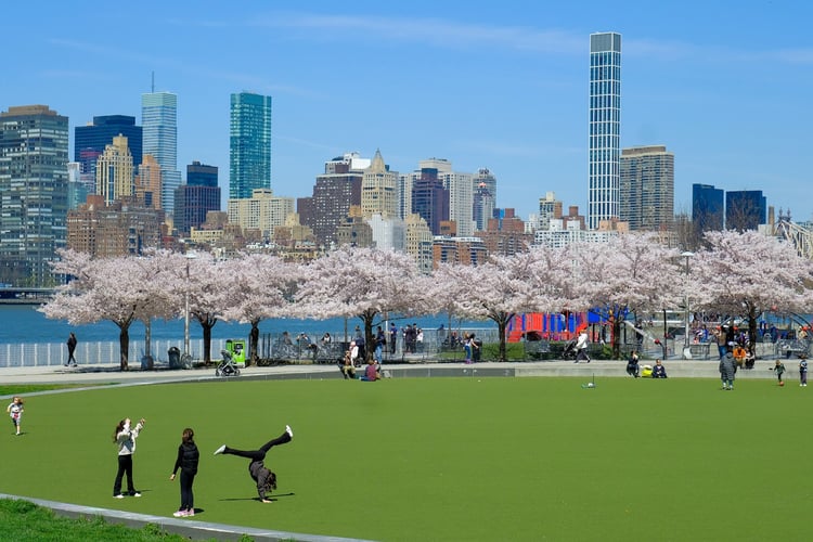 Hunter's Point South Park — New York