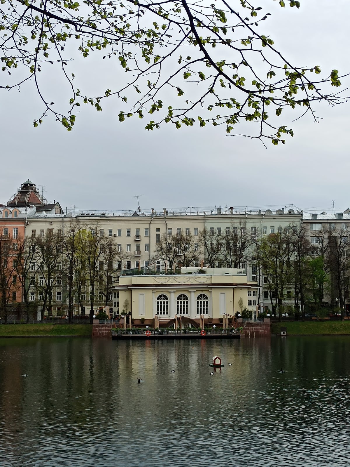 Patriarch Ponds