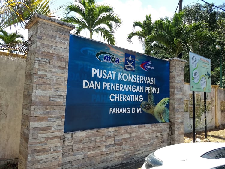 Cherating Turtle Sanctuary Centre — Balok