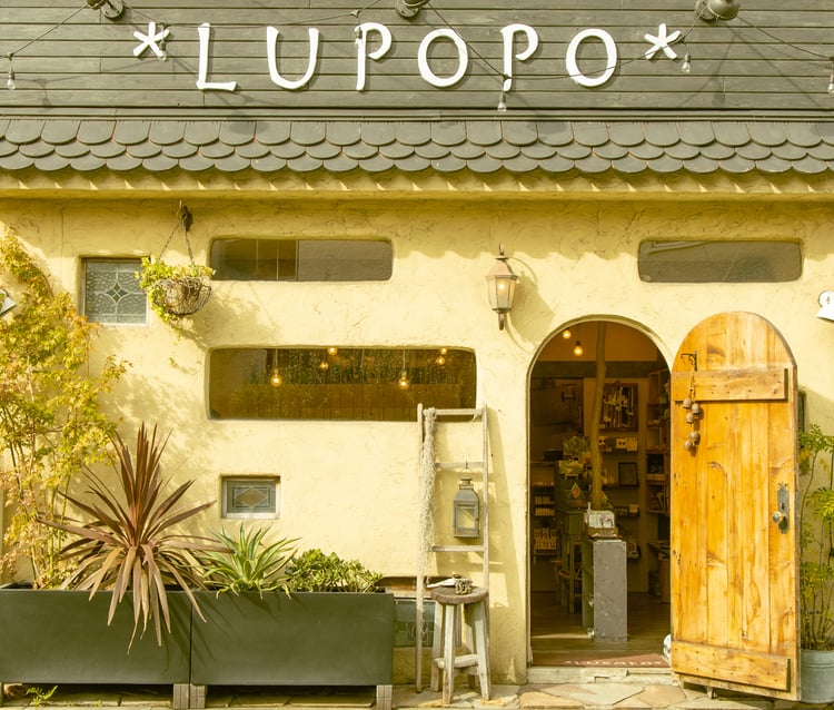 LUPOPO — Setagaya City