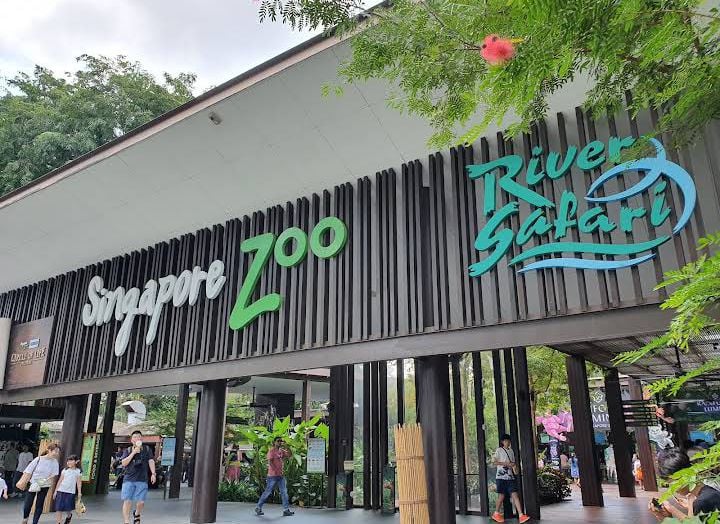 Singapore Zoo — Singapore