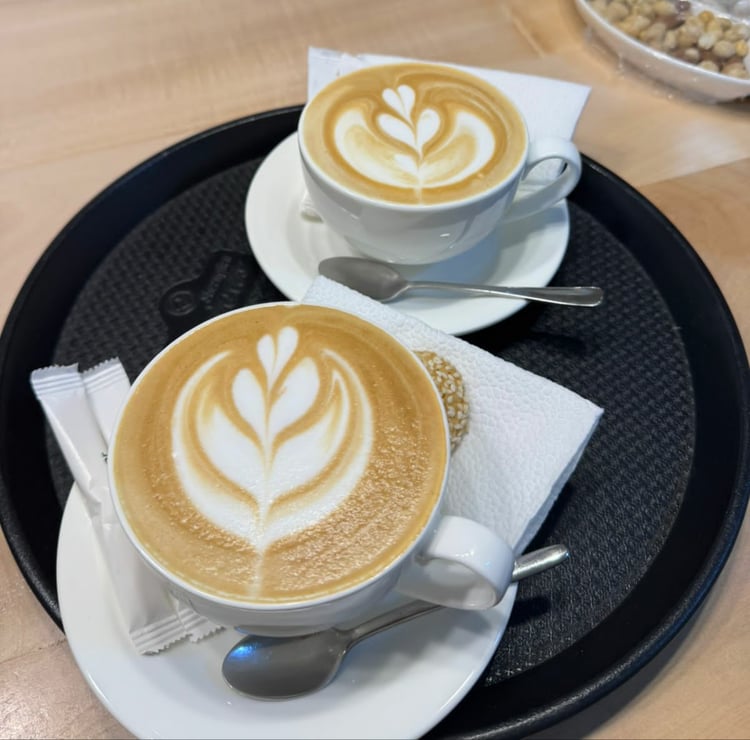 Craft Coffee Roasters — Zaqatala